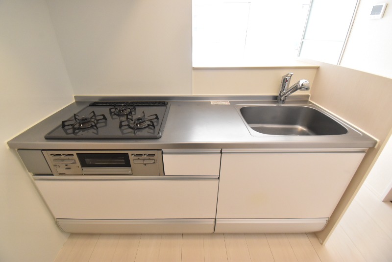 ��ʌ��z�J�s���C�N�^�E���U���ڂ̃A�p�[�g�̃L�b�`��