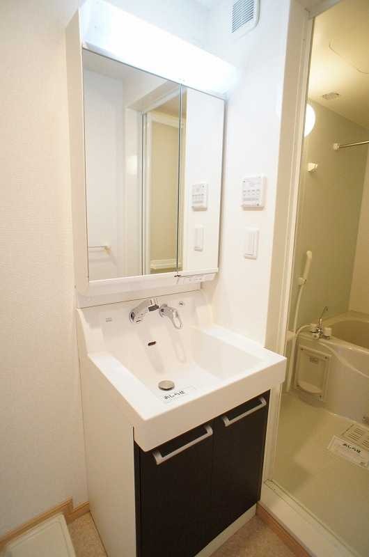 ��ʌ��z�J�s���C�N�^�E���W���ڂ̃}���V�����̐��ʏ�