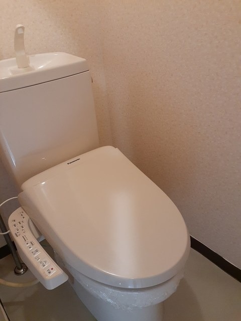 ��ʌ��������܎s����厚�w��̃}���V�����̃g�C��