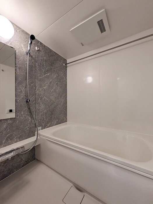 ��ʌ��������܎s����厚�w��̃A�p�[�g�̃o�X