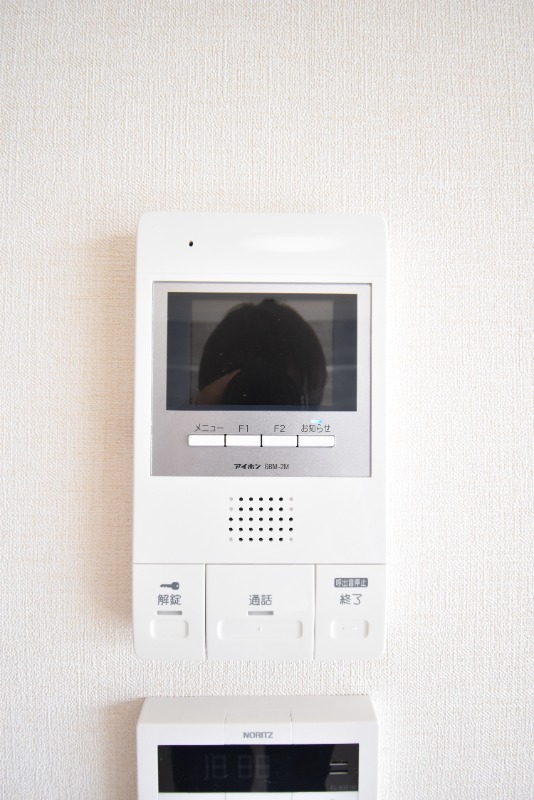 ��ʌ��������܎s���搼��{�P���ڂ̃}���V�����̂��̑�