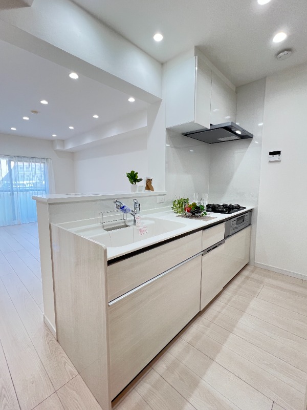 ��ʌ�����s�����J�{���S���ڂ̃}���V�����̃L�b�`��