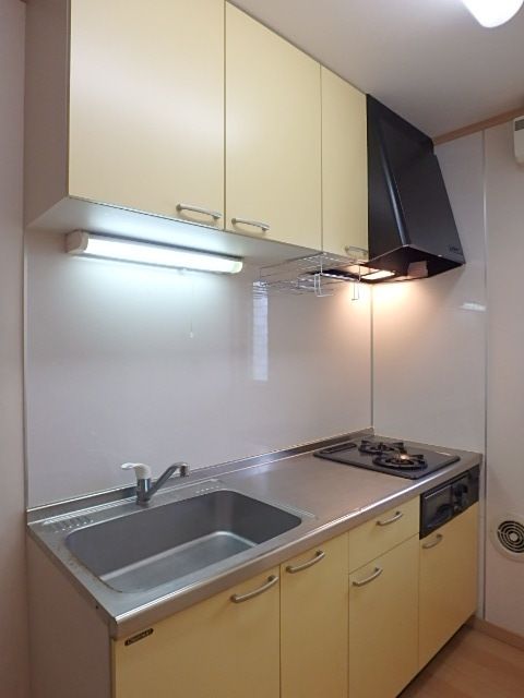 ��ʌ��������܎s�k��y�C���Q���ڂ̃A�p�[�g�̃L�b�`��