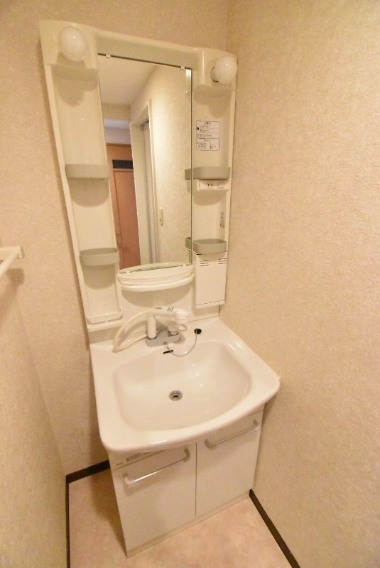 ��ʌ�����s�厚���̃}���V�����̐��ʏ�