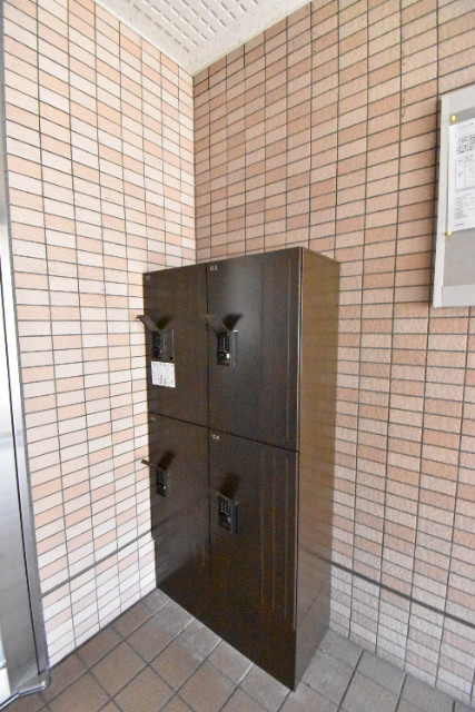 ��ʌ�����s�厚���̃}���V�����̂��̑�