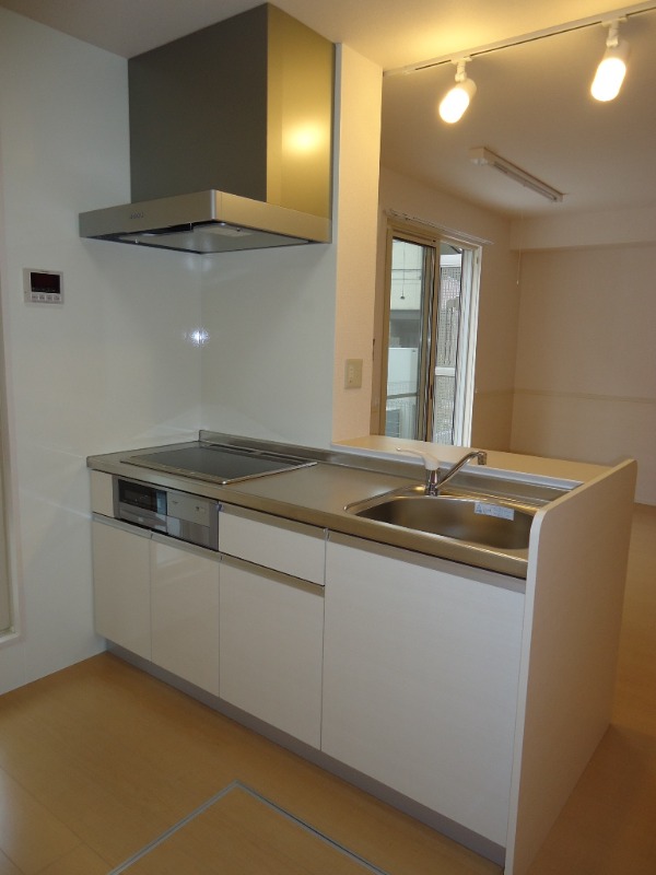 ��ʌ�����s�厚�����̃A�p�[�g�̃L�b�`��