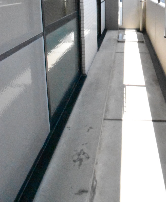 ��ʌ������s�������̃}���V�����̃o���R�j�[