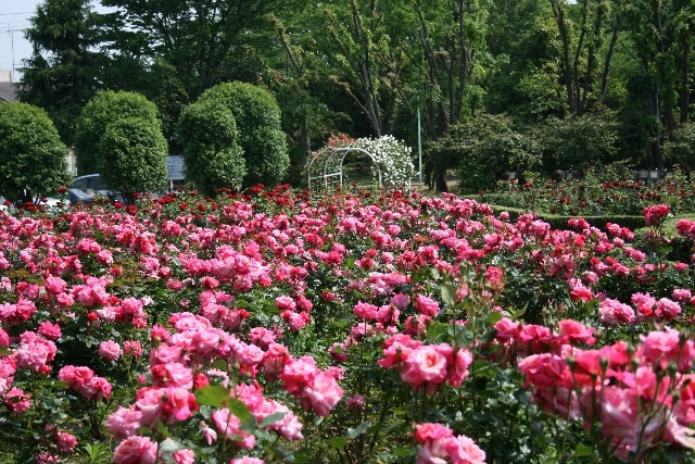 ��ʌ��������܎s�����攪���q�R���ڂ̃A�p�[�g�̎���