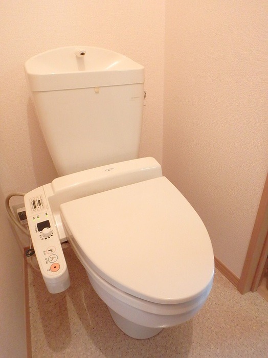 ��ʌ��z�J�s�ԎR�{���̃A�p�[�g�̃g�C��