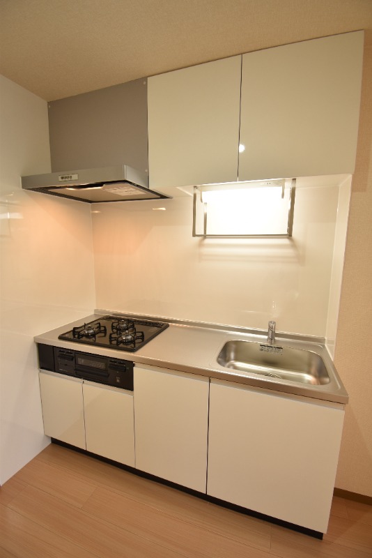 ��ʌ��������܎s�Y�a��c�R���̃A�p�[�g�̃L�b�`��