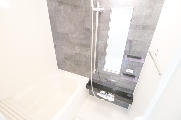 ��ʌ��������܎s�����擌��{�U���ڂ̃A�p�[�g�̃o�X