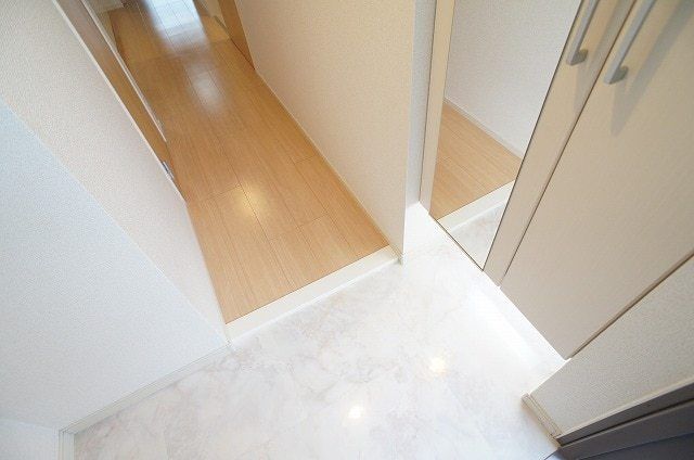 ��ʌ�����s�厚���̃}���V�����̌���