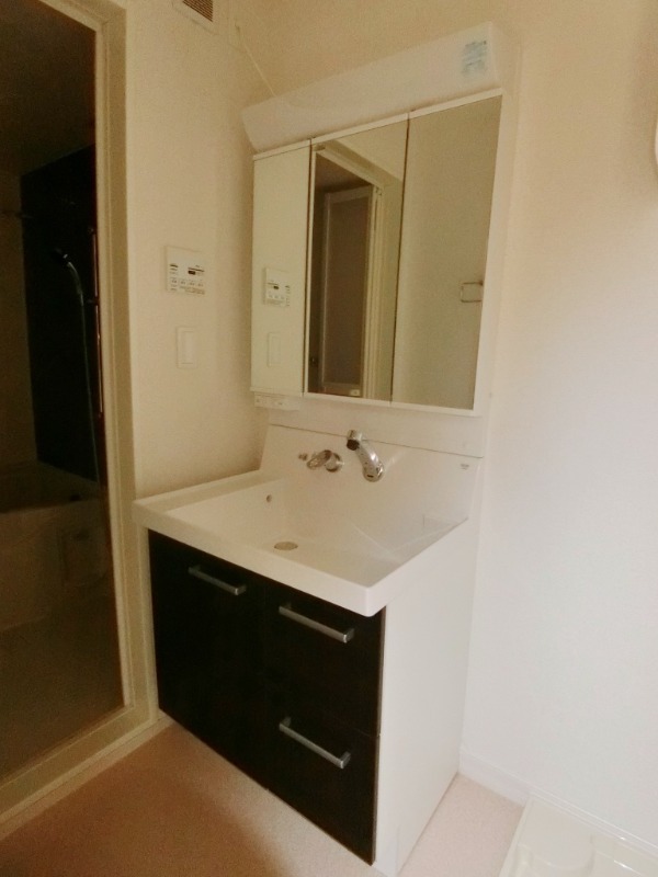 ��ʌ�����s�厚�����q�V�c�̃A�p�[�g�̐��ʏ�