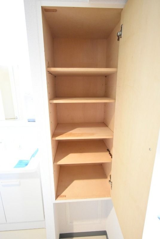 ��ʌ�����s�厚���s�̃}���V�����̎��[