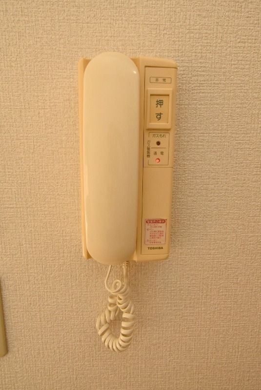 ��ʌ�����s�厚���s�̃}���V�����̂��̑�