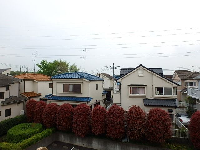 ��ʌ�����s�厚���s�̃}���V�����̂��̑�