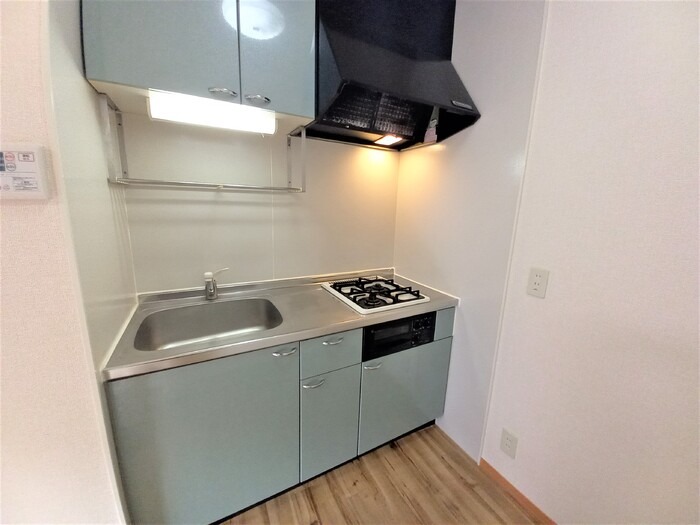 ��ʌ��z�J�s���������Q���ڂ̃A�p�[�g�̃L�b�`��