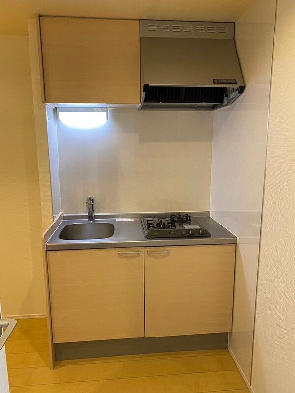 ��ʌ��z�J�s���S���ڂ̃A�p�[�g�̃L�b�`��