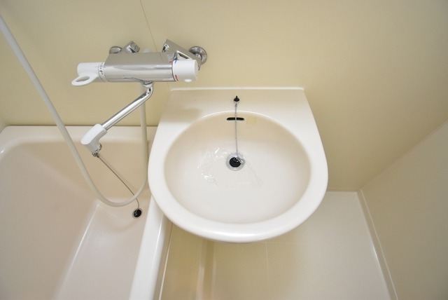 ��ʌ�����s�厚���̃}���V�����̐��ʏ�