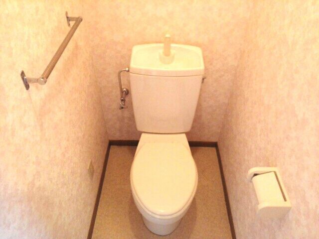 ��ʌ�����s�厚�ԎR�̃}���V�����̃g�C��