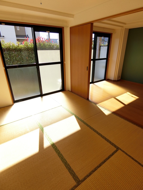 ��ʌ�����s����U���ڂ̃}���V�����̂��̑�