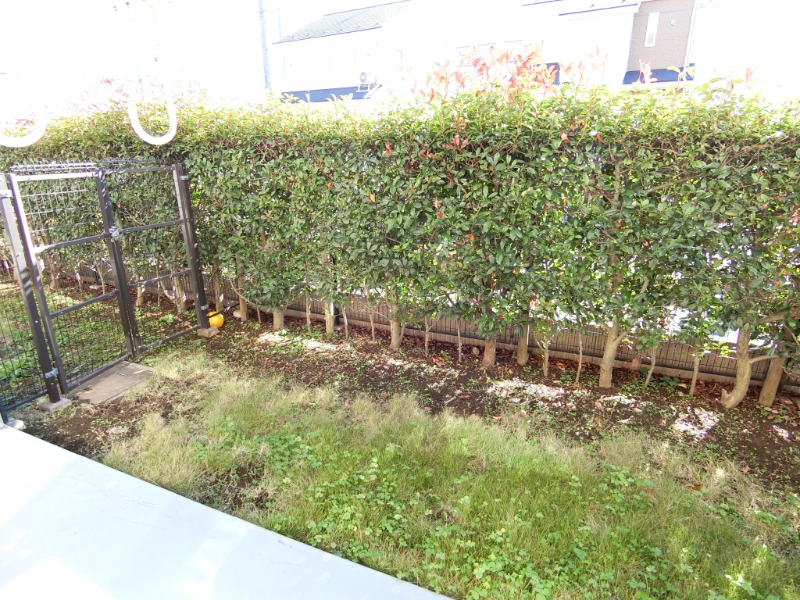 ��ʌ�����s����U���ڂ̃}���V�����̂��̑�