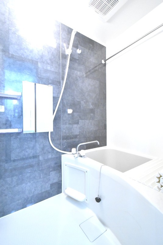 ��ʌ��z�J�s�k�z�J�P���ڂ̃A�p�[�g�̃o�X