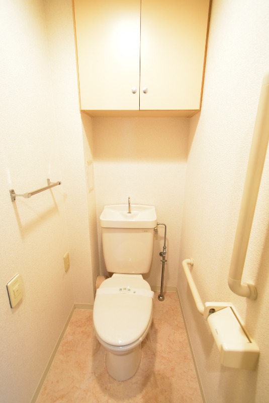 ��ʌ��������܎s������{�����R���ڂ̃}���V�����̃g�C��