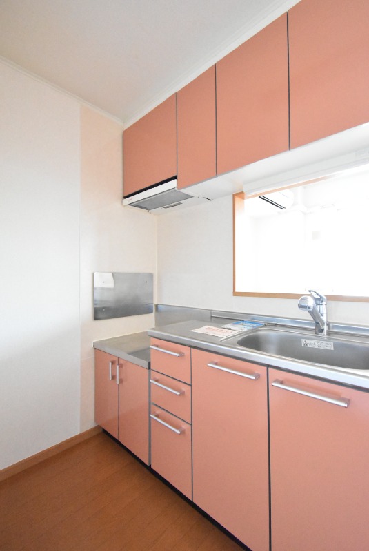 ��ʌ��������܎s�΋�厚�����̃A�p�[�g�̃L�b�`��