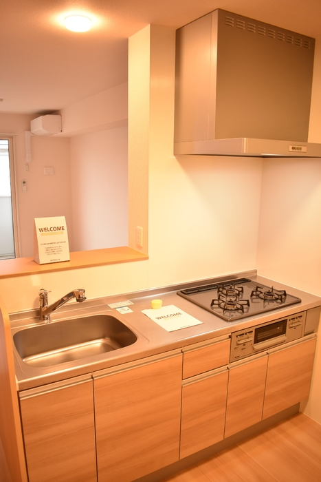 ��ʌ��������܎s����O���U���ڂ̃A�p�[�g�̃L�b�`��