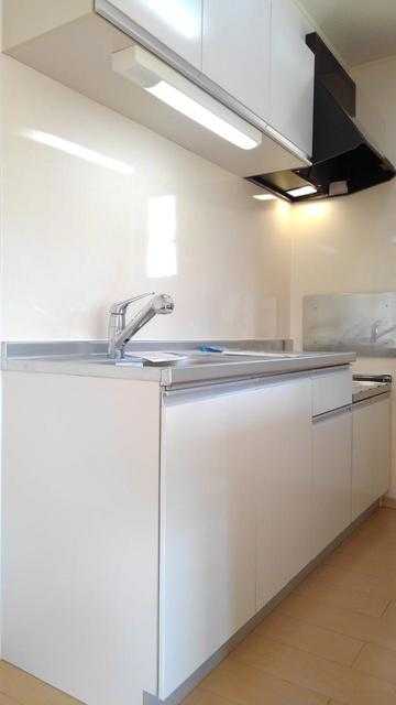 ��ʌ��������܎s��΋�{���Q���ڂ̃A�p�[�g�̃L�b�`��