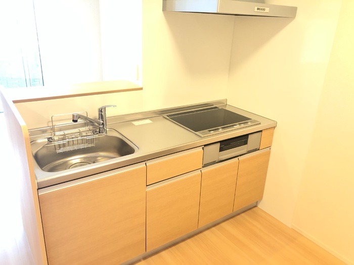 ��ʌ��������܎s���搼��{�P���ڂ̃A�p�[�g�̃L�b�`��