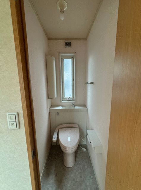 ��ʌ������s�����̈�ˌ��Ẵg�C��