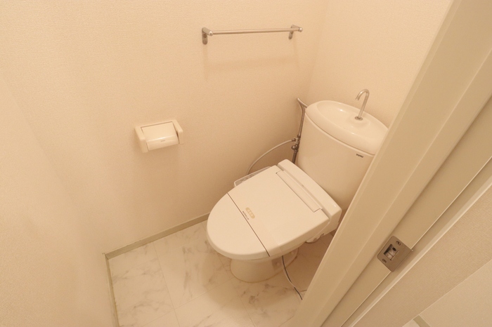 ��ʌ�����s�厚�����̃e���X�n�E�X�̃g�C��