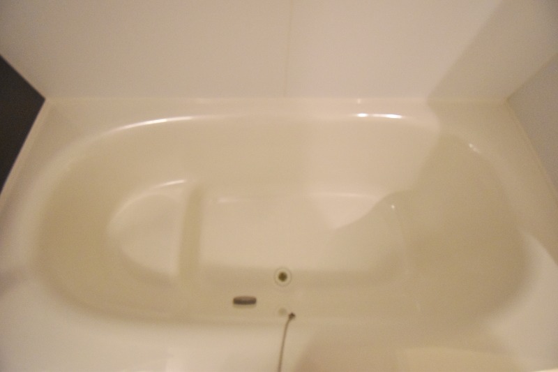 ��ʌ��������܎s����厚�w��̃A�p�[�g�̃o�X