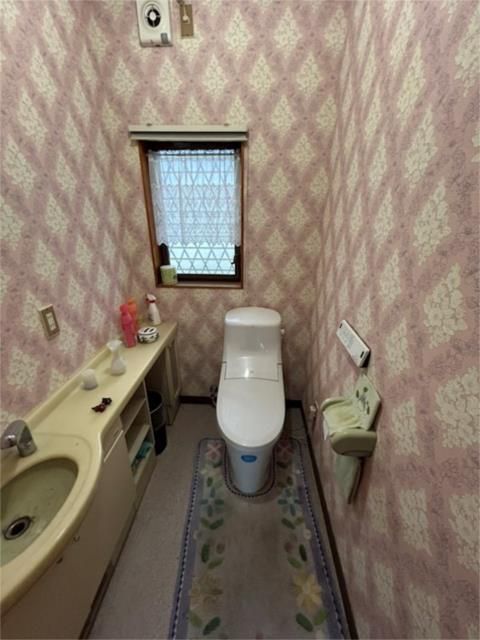 ��ʌ��������܎s��΋�厚�ђ˂̈�ˌ��Ẵg�C��