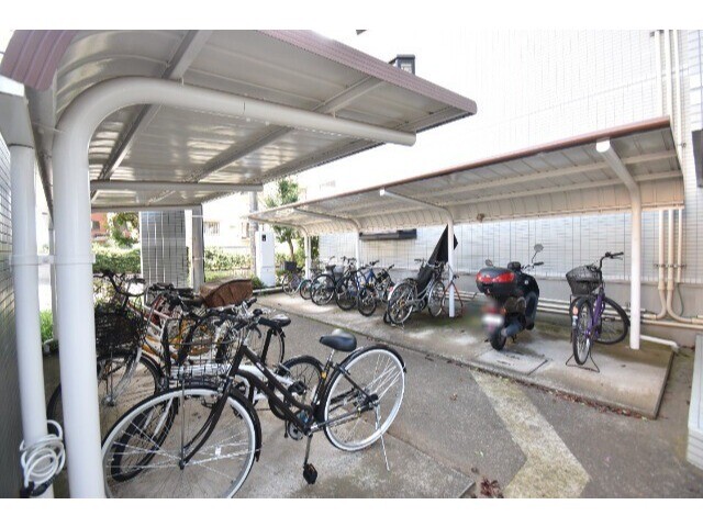 ��ʌ�����s������P���ڂ̃}���V�����̂��̑�