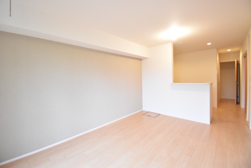 ��ʌ��z�J�s���z�J�R���ڂ̃}���V�����̋��ԁE���r���O