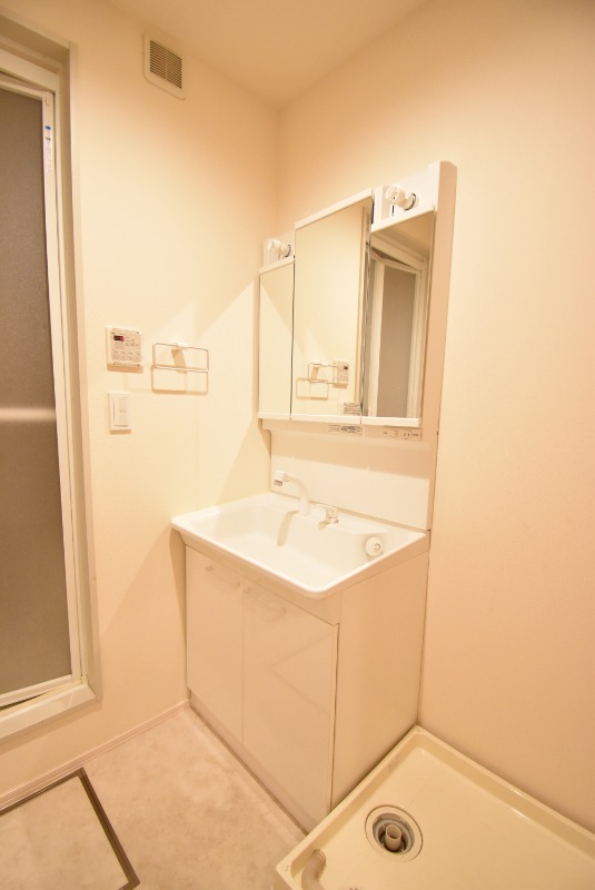 ��ʌ��z�J�s���z�J�R���ڂ̃}���V�����̐��ʏ�