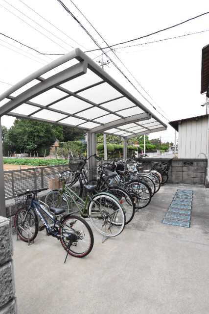 ��ʌ��z�J�s���z�J�R���ڂ̃}���V�����̂��̑�