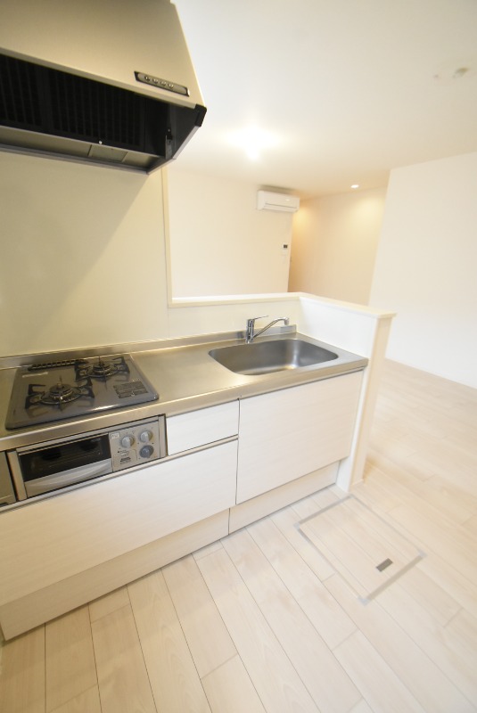 ��ʌ��F�J�s�����P���ڂ̃}���V�����̃L�b�`��