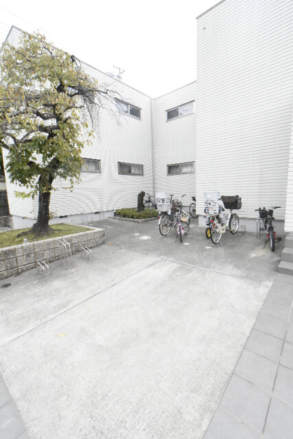 ��ʌ��F�J�s�����P���ڂ̃}���V�����̂��̑�