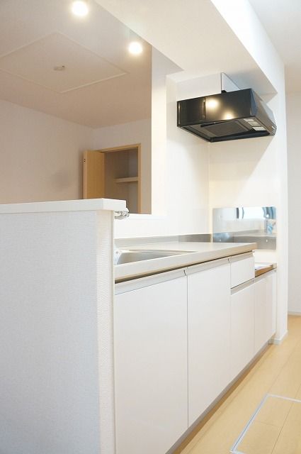 ��ʌ��������܎s�΋�厚���̃A�p�[�g�̃L�b�`��