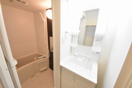 ��ʌ��������܎s����厚�w��̃A�p�[�g�̐��ʏ�