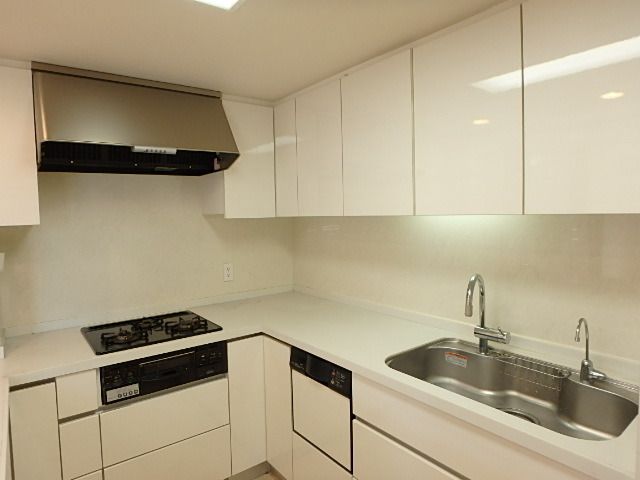 ��ʌ��������܎s��{����ؒ��S���ڂ̃}���V�����̃L�b�`��