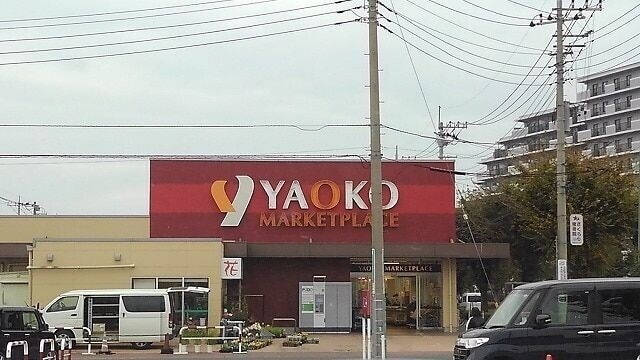 ��ʌ������s���c�̈�ˌ��Ă̎���