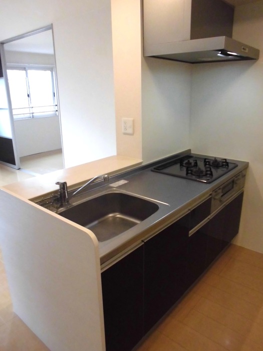 ��ʌ��������܎s�k��{�����S���ڂ̃A�p�[�g�̃L�b�`��