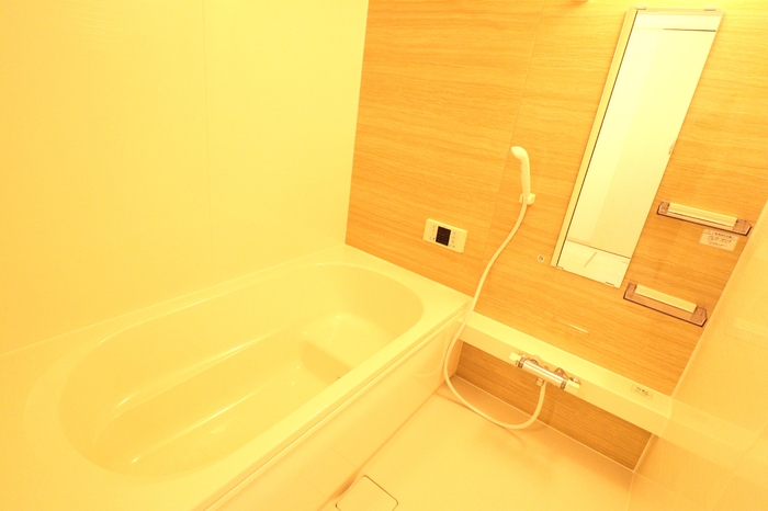 ��ʌ��z�J�s���C�N�^�E���U���ڂ̃A�p�[�g�̃o�X