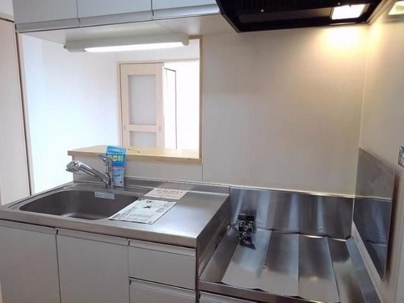 ��ʌ��z�J�s�厚��т̃A�p�[�g�̃L�b�`��