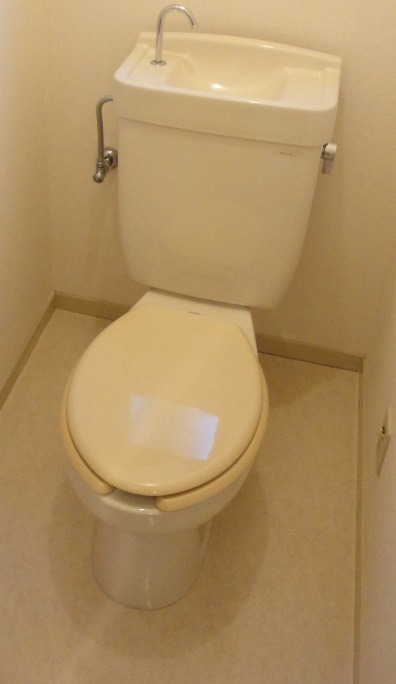 ��ʌ��������܎s����O���T���ڂ̃}���V�����̃g�C��